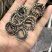 中药材金钱小花白花蛇干货正品