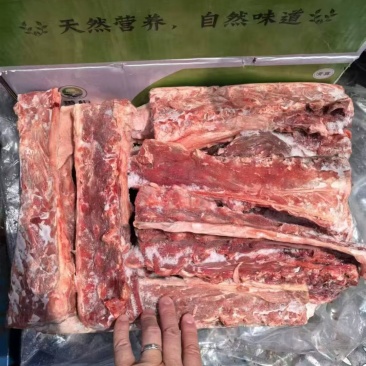 国产羊蝎子