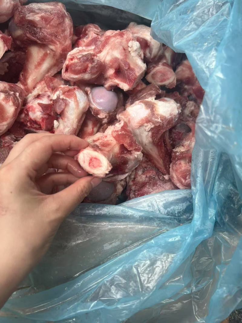前棒骨