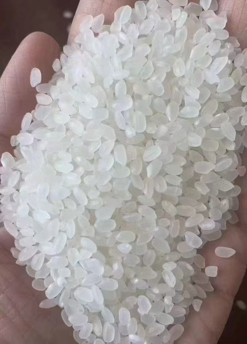 黑龙江23年的珍珠米