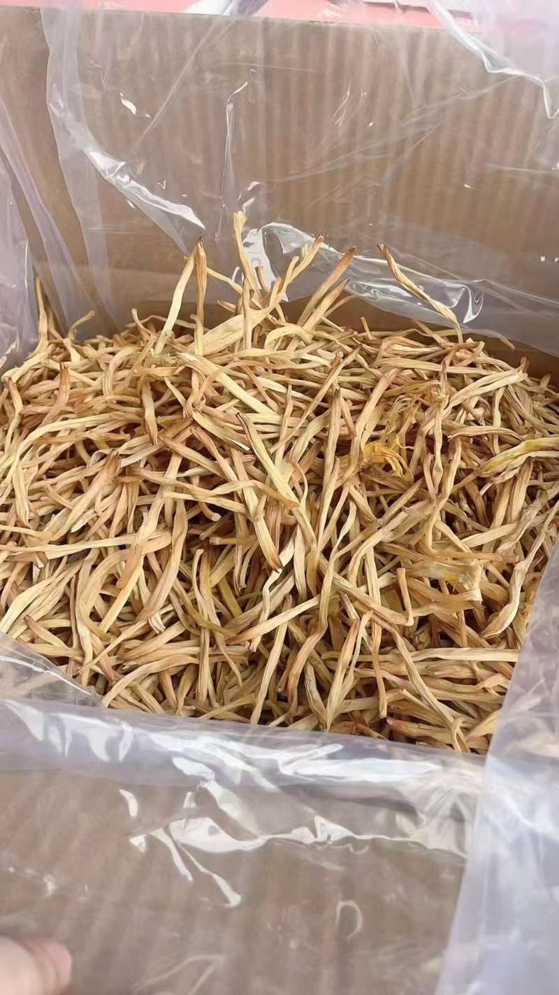 包邮：黄花菜，现货现发大量供应，量大优惠支持视频现场看货