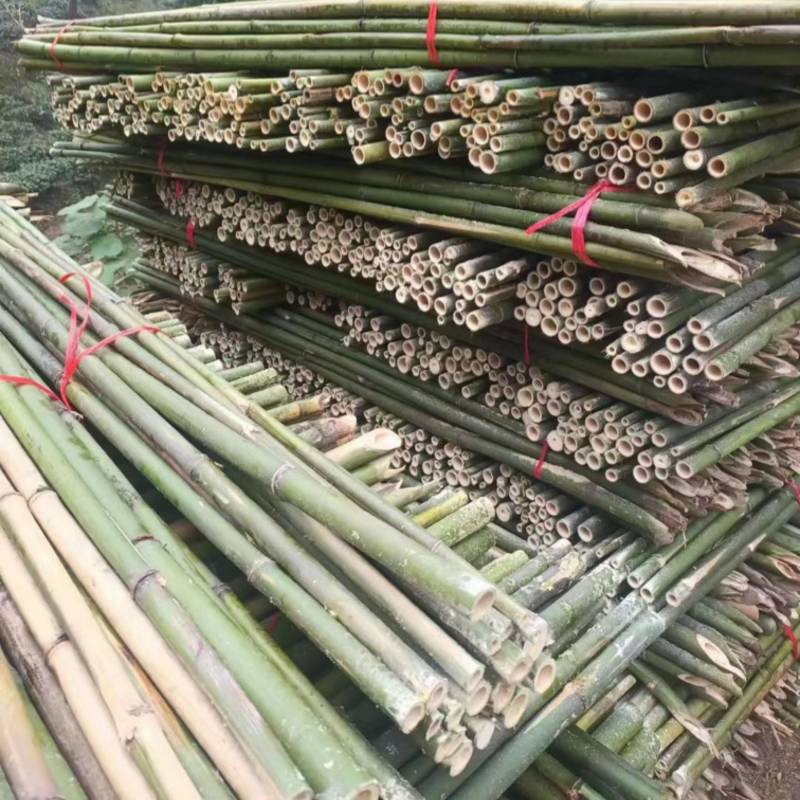 竹杆农用竹杆大棚竹杆苗子杆大量批发出售量大价优