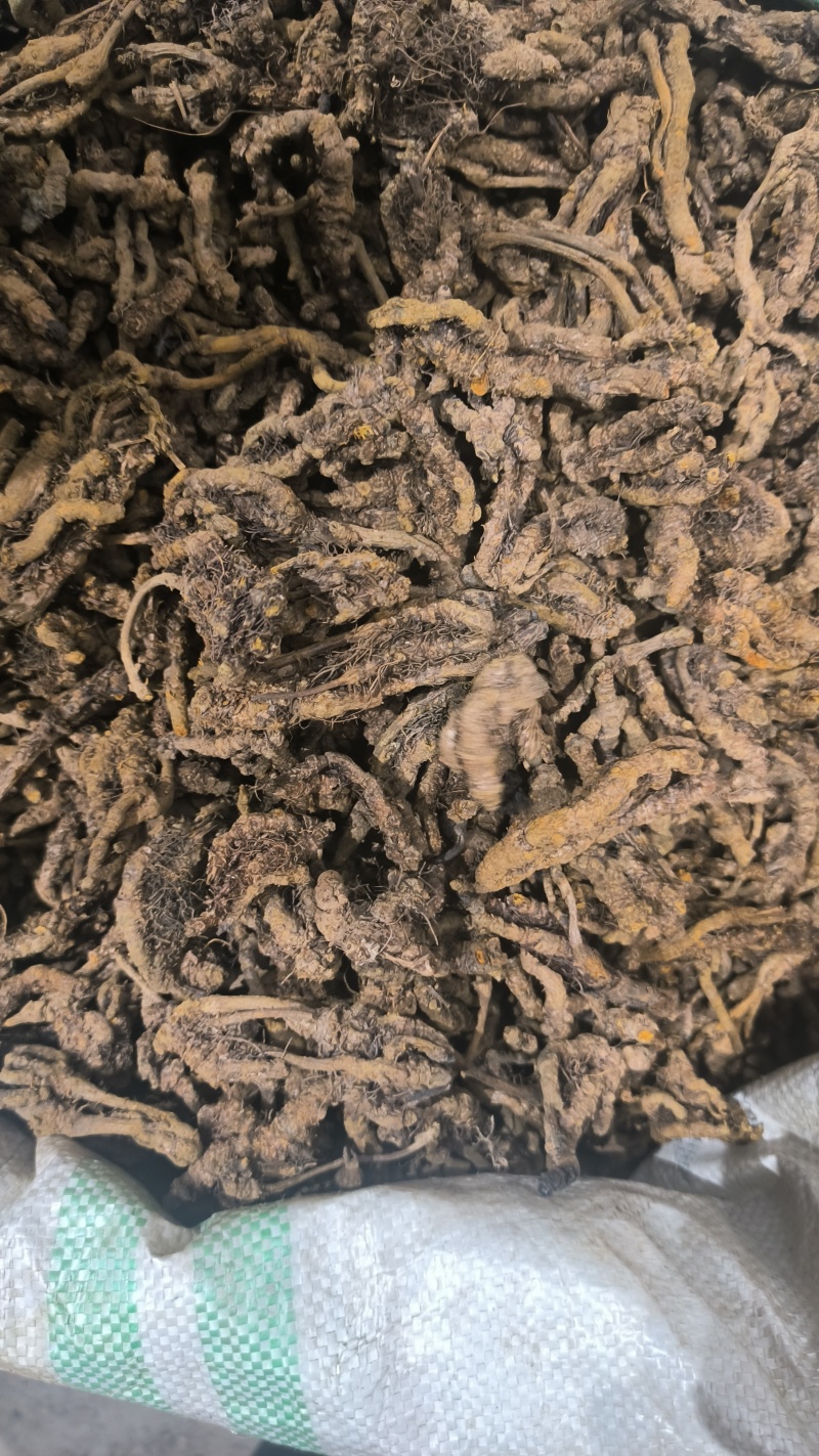 黄莲鸡爪莲单支莲黄莲片规格齐全质量保证诚信经