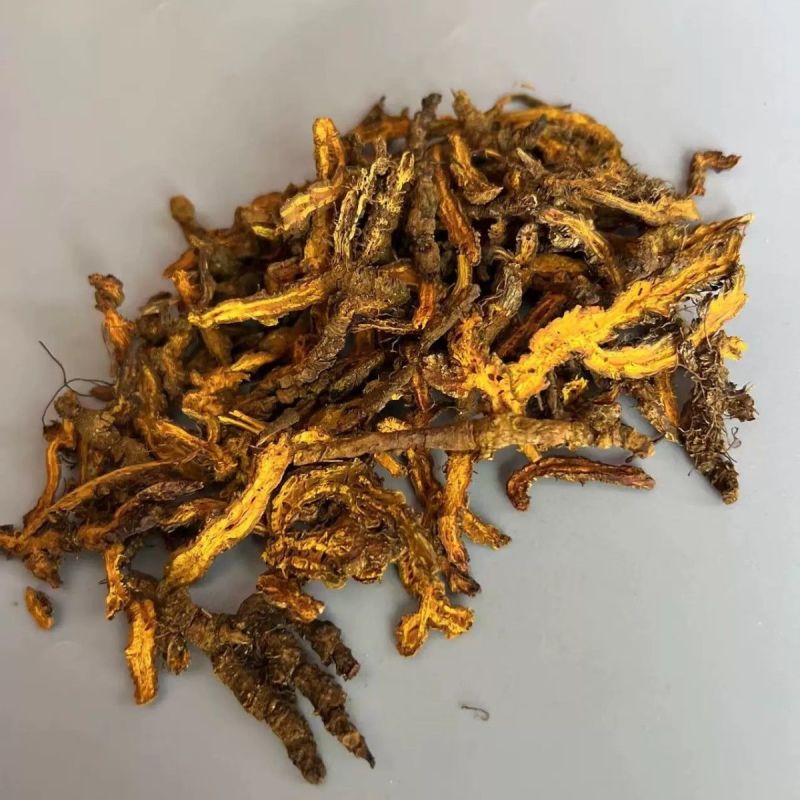 黄莲鸡爪莲单支莲黄莲片规格齐全质量保证诚信经