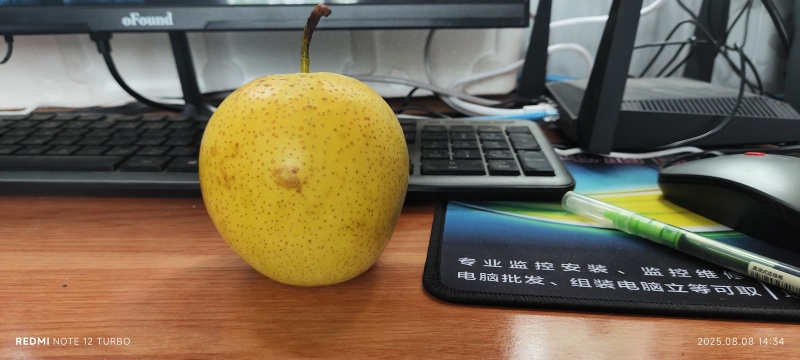 阳信皇冠梨