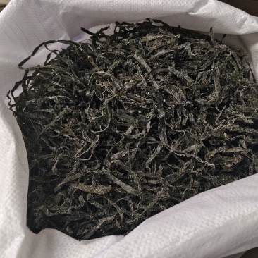 全干海带长丝，一斤泡发5斤多，纯绿长丝！