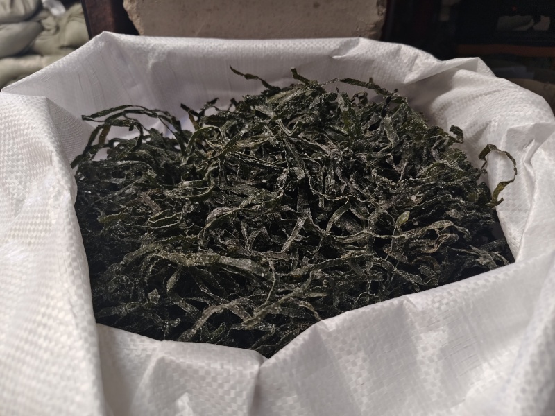 全干海带长丝，一斤泡发5斤多，纯绿长丝！