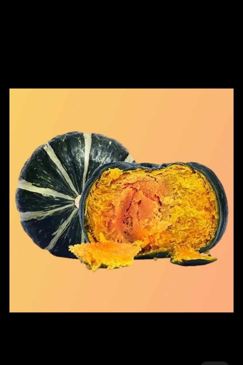 贝贝南瓜，小南瓜，河北南瓜，阳原南瓜，蔚县南瓜张家口南瓜