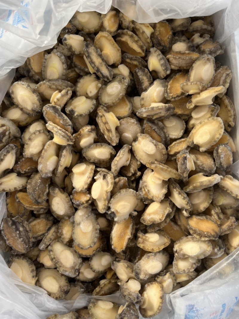 鲍鱼肉残鲍肉冻鲍鱼肉去壳，去内脏可清炒炖煮