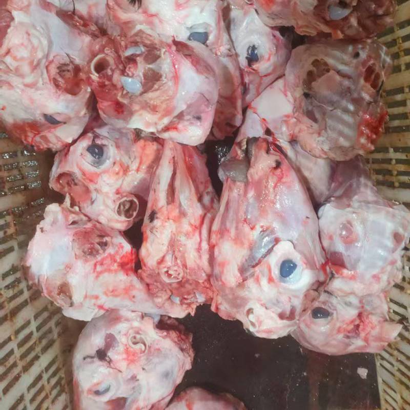 扒皮羊头，羊副产品，大量现货，保质保量，欢迎来电咨询