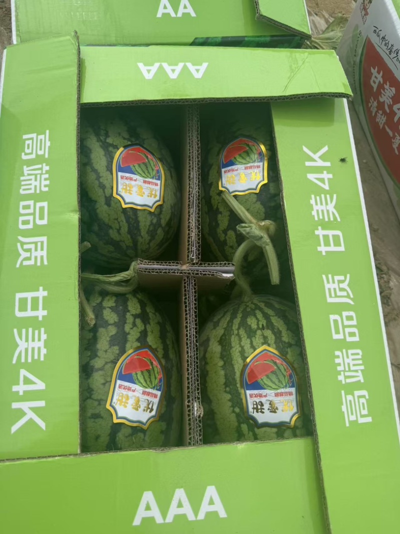 内蒙精品台农甘美4K水果甘甜多汁新鲜大量现货
