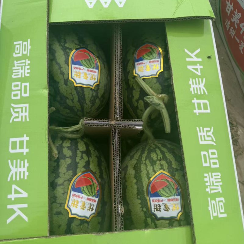 内蒙古精品台农甘美4K西瓜甘甜可口量大从优