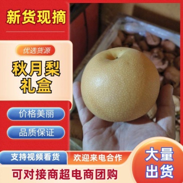 【莱阳秋月梨】秋月梨礼盒一件代发电商美团多多社区团购批发