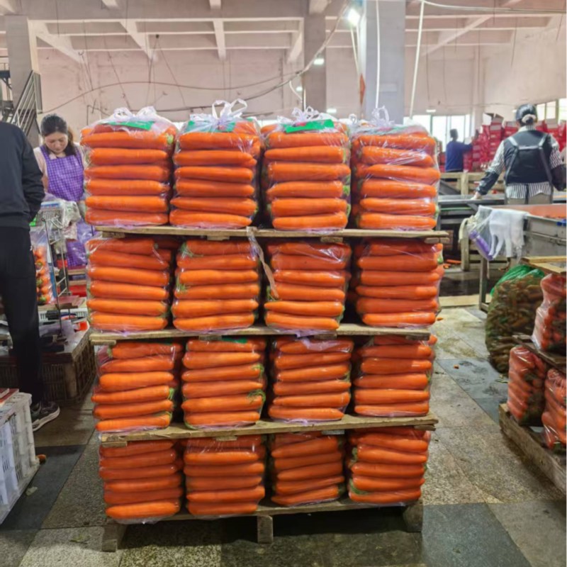 河南胡萝卜精品大量上市中，产地一手货源视频看货，对接全国