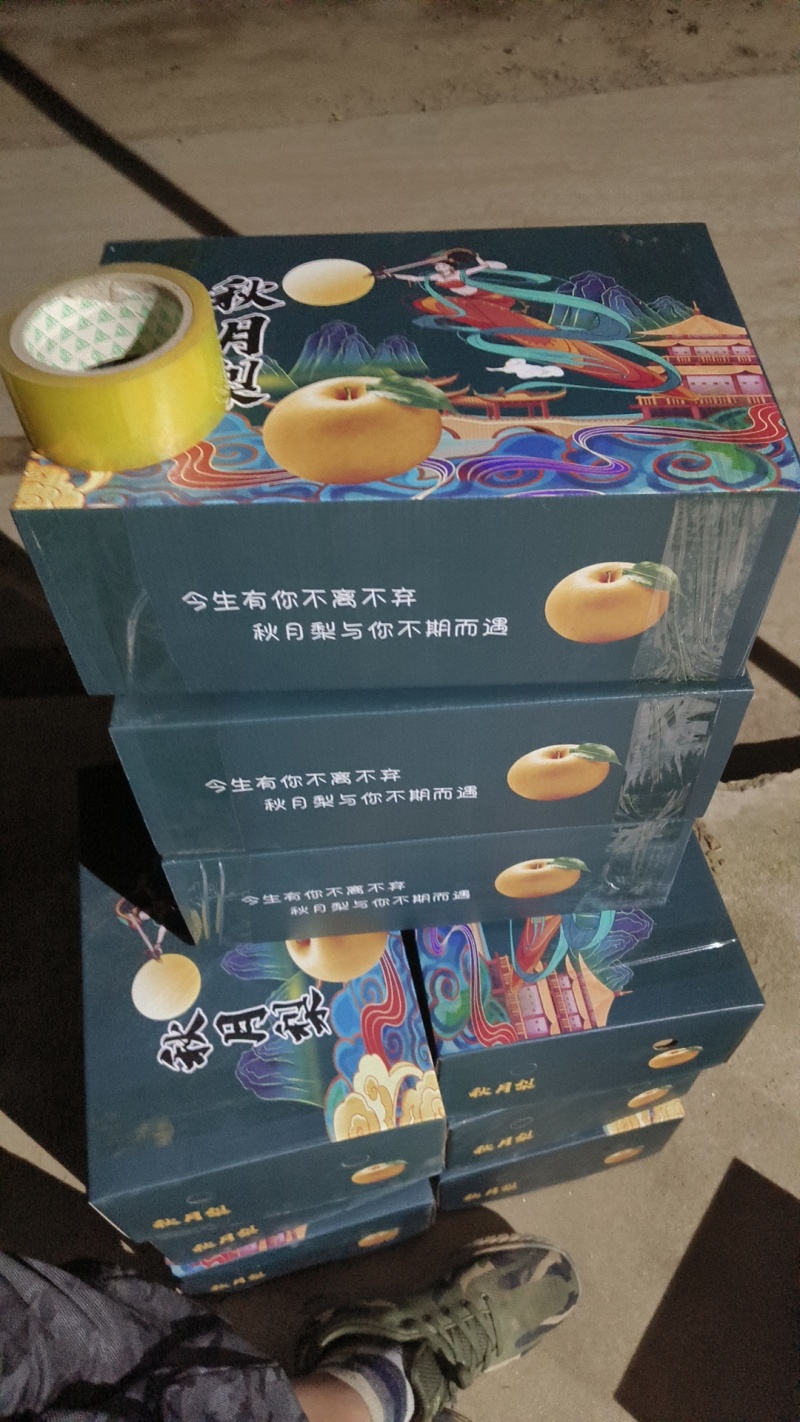 烟台莱阳秋月梨上市，一件代发礼盒装350g以上大果秋月梨