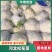 精品花菜大量上市中，产地一手货源，视频看货致电