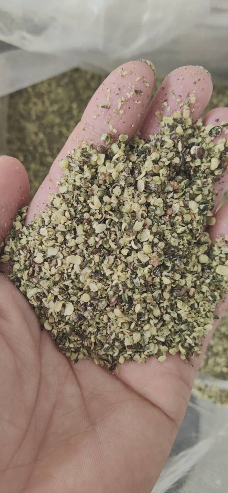 火麻仁鲁菏舜中药材批发