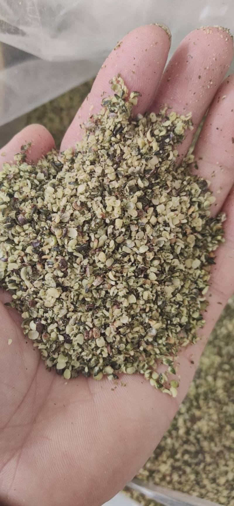 火麻仁鲁菏舜中药材批发