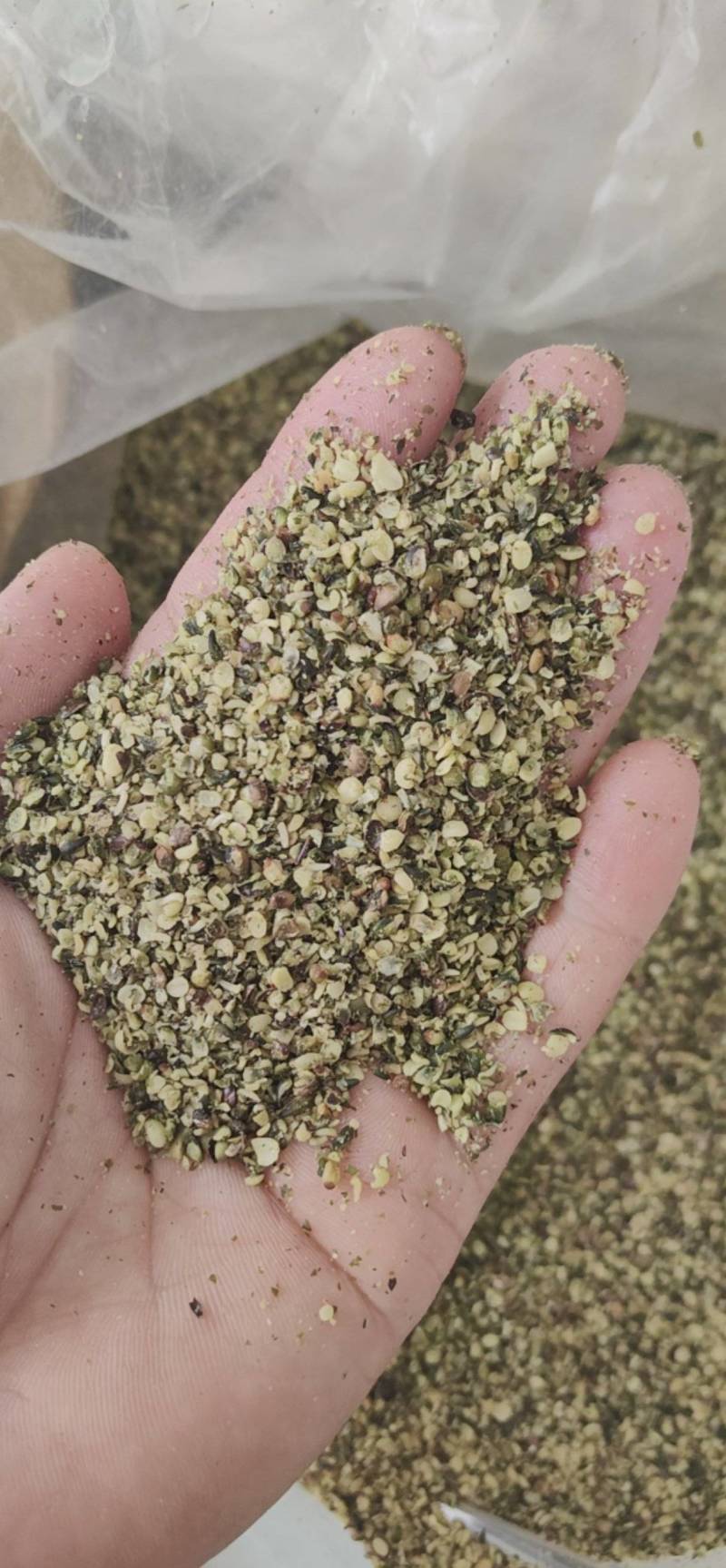 火麻仁鲁菏舜中药材批发