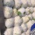 精品花菜大量上市中，产地一手货源，视频看货致电