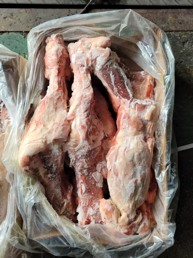 后腿骨