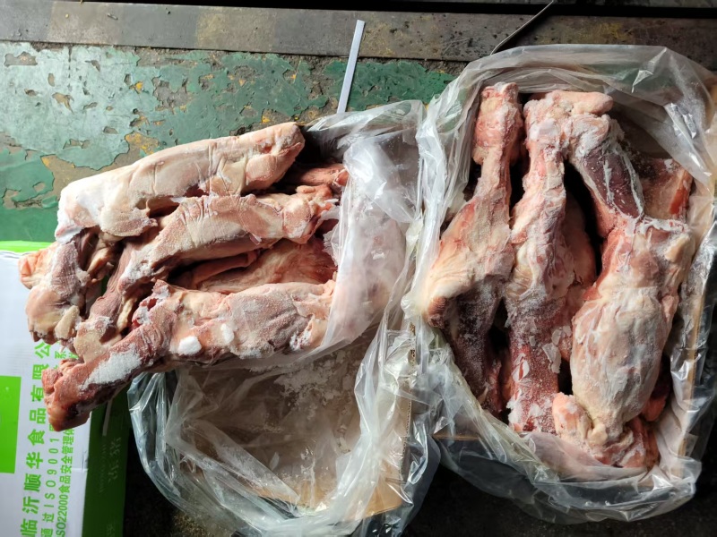后腿骨