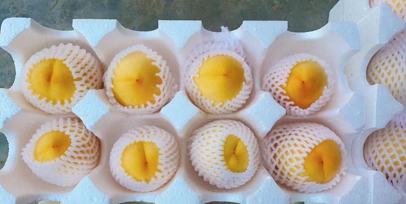 雅安市石棉锦绣黄桃