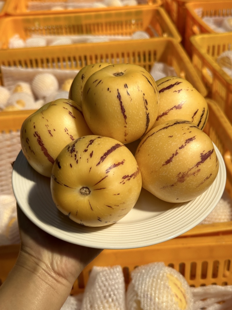 一件代发货云南石林树上熟人参果皮薄肉多清甜爽口