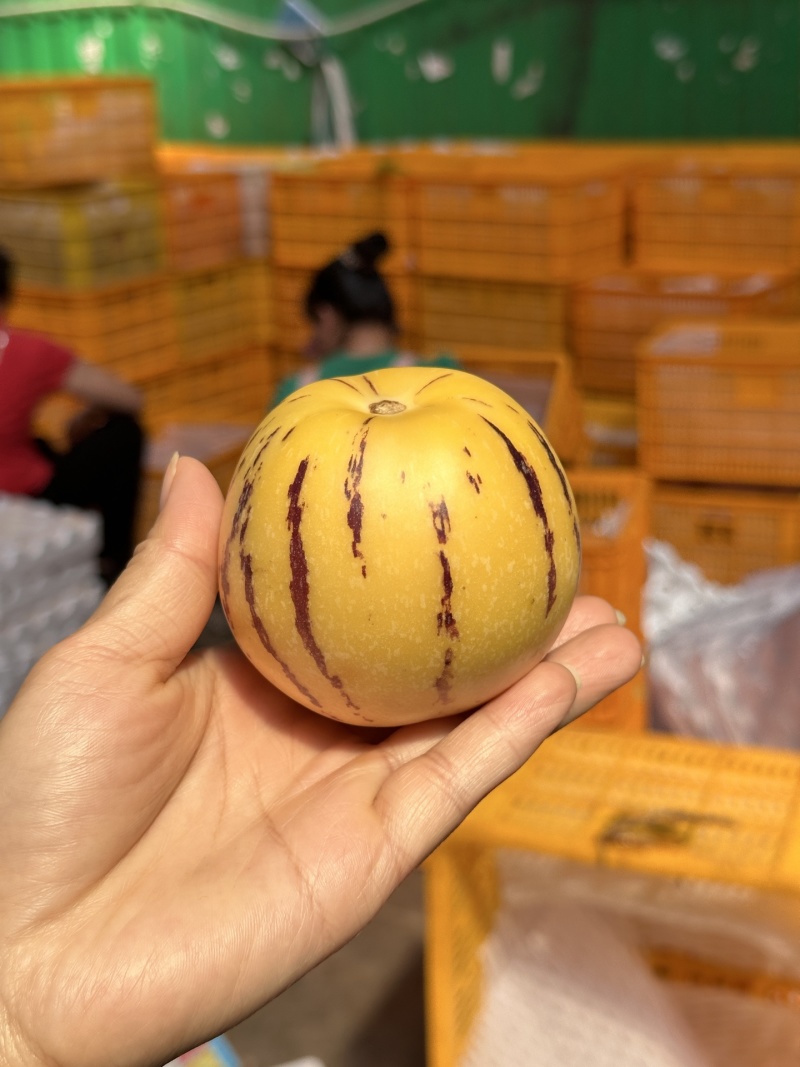 一件代发货云南石林树上熟人参果皮薄肉多清甜爽口