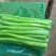 精品莴笋肉去皮莴笋大量供应一手货源质量保证全国发货