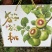 四川精品礼盒装红心猕猴桃，量大价优，营养丰富