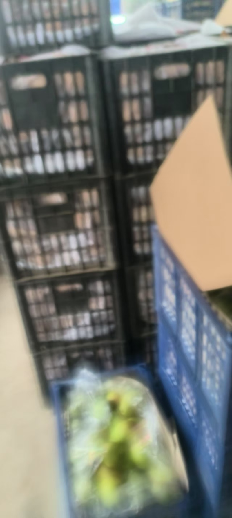 不去袋皇冠梨个大口感好大量有货有意老板滴滴