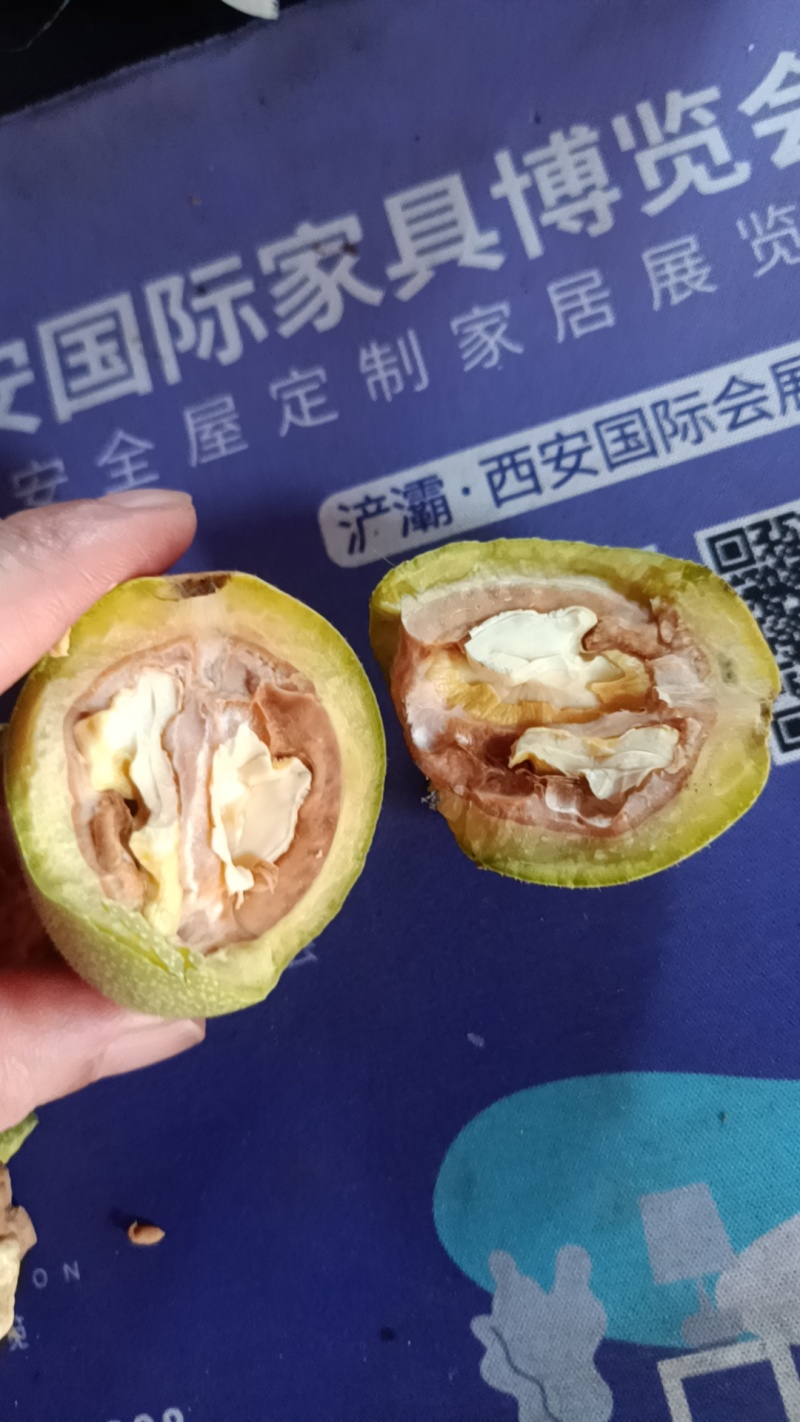 新鲜青皮核桃