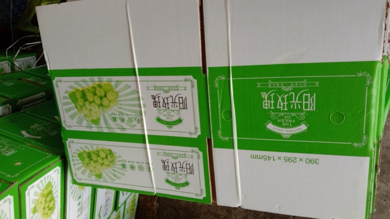 阳光玫瑰流量又起来了需要代发联系
