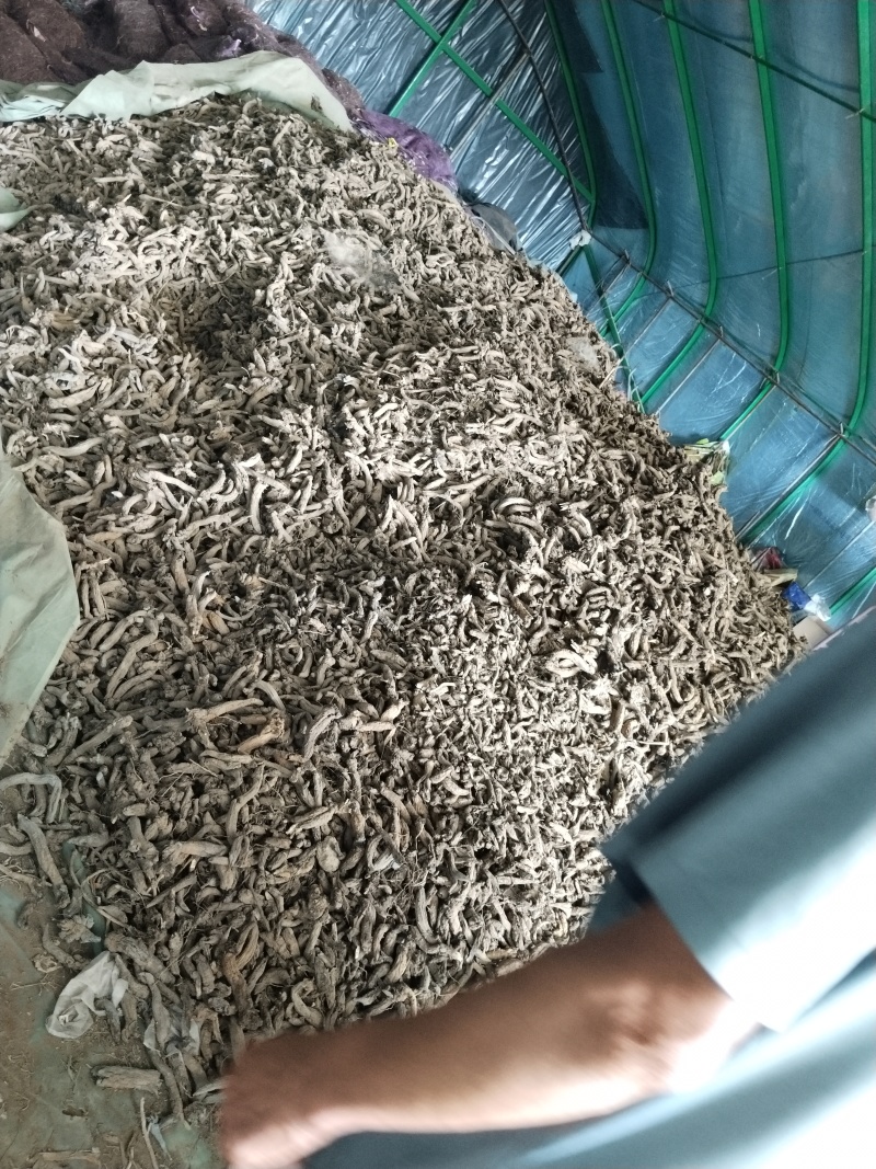 玄参个子通货，大约3吨