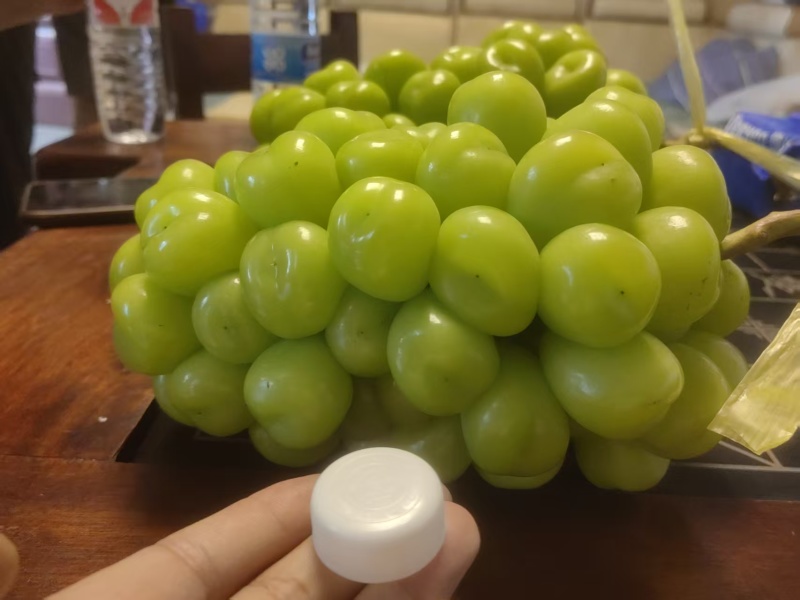陕西渭南精品葡萄阳光玫瑰大量供应，产地直发，一手货源，