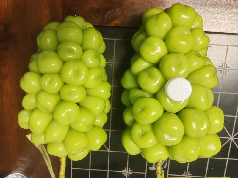 陕西渭南精品葡萄阳光玫瑰大量供应，产地直发，一手货源，