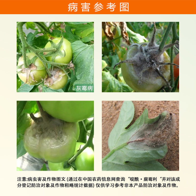 灰灵顿65%啶酰菌胺腐霉利番茄灰霉病农药杀菌剂包邮