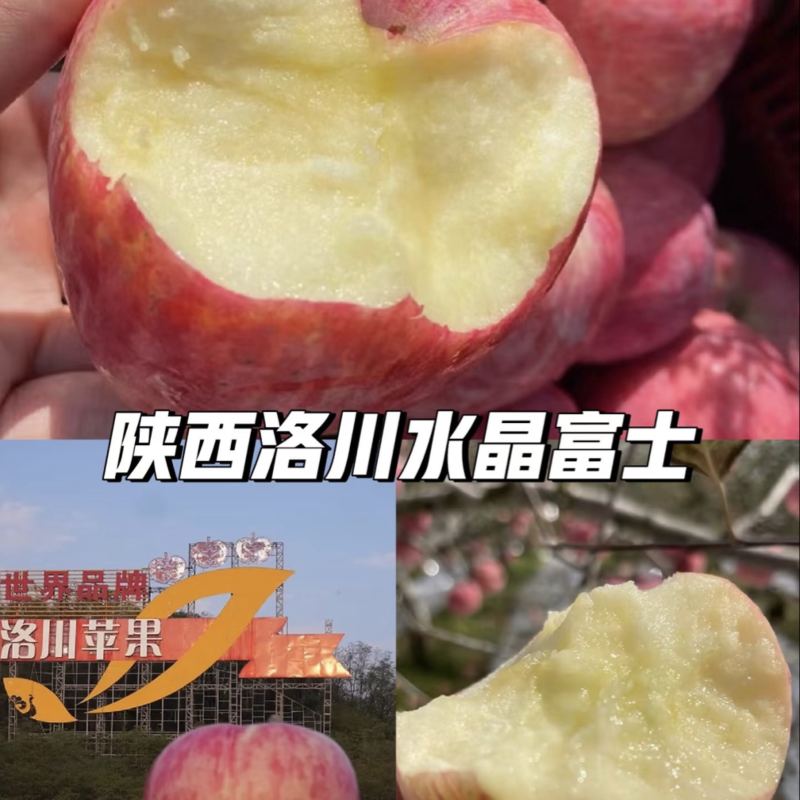 洛川红富士苹果产地直发量大价优品质**规格齐全欢迎老板电