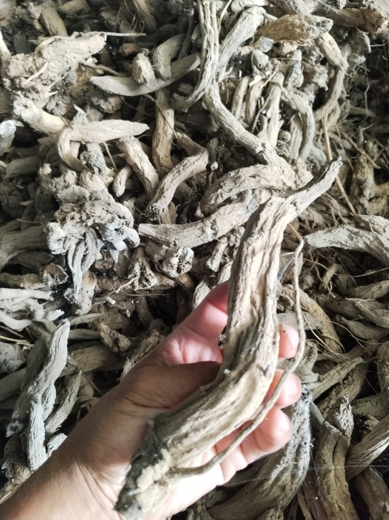 玄参个子通货，大约3吨
