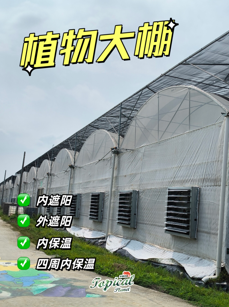 南沙200亩热植大棚出租