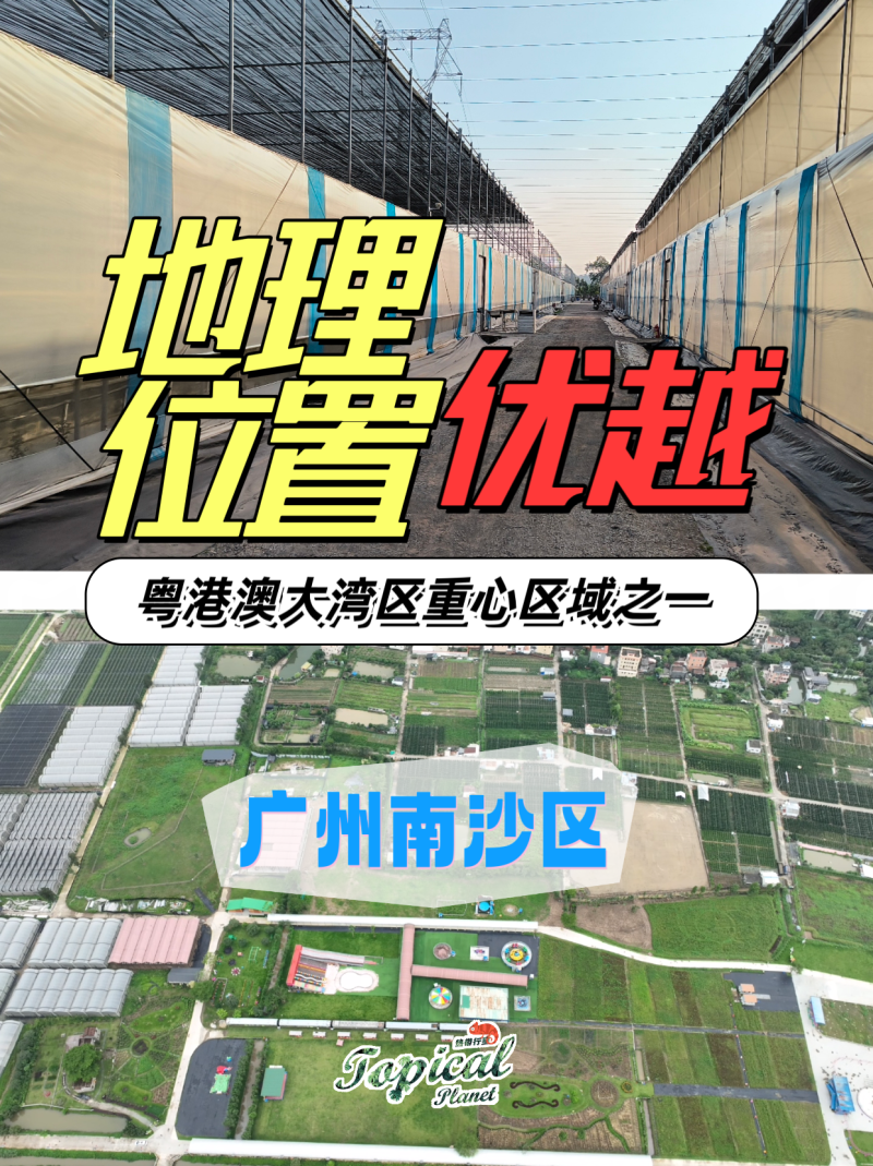 南沙200亩热植大棚出租