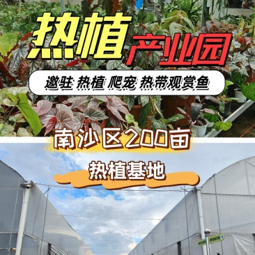南沙200亩热植大棚出租