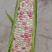 花糯玉米脆五