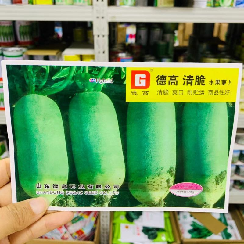 德高博萝蜜萝卜种子长势整齐水果萝卜种籽四季蔬菜基地用