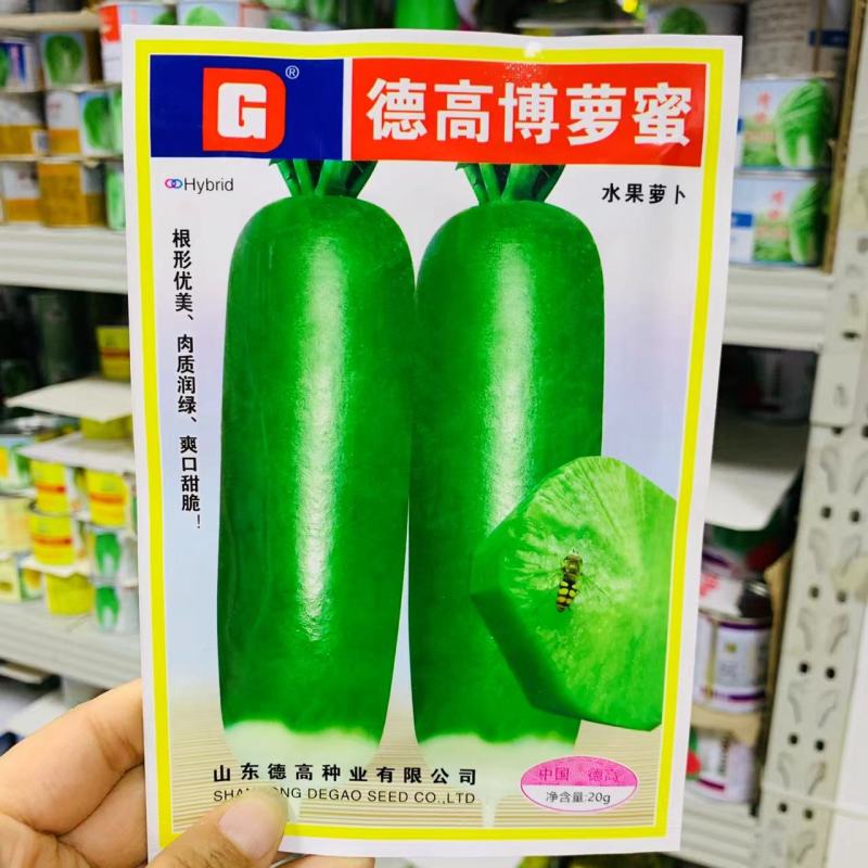 德高博萝蜜萝卜种子长势整齐水果萝卜种籽四季蔬菜基地用