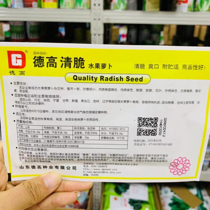 德高博萝蜜萝卜种子长势整齐水果萝卜种籽四季蔬菜基地用