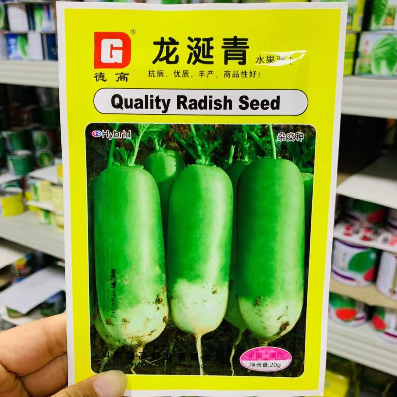 德高博萝蜜萝卜种子长势整齐水果萝卜种籽四季蔬菜基地用