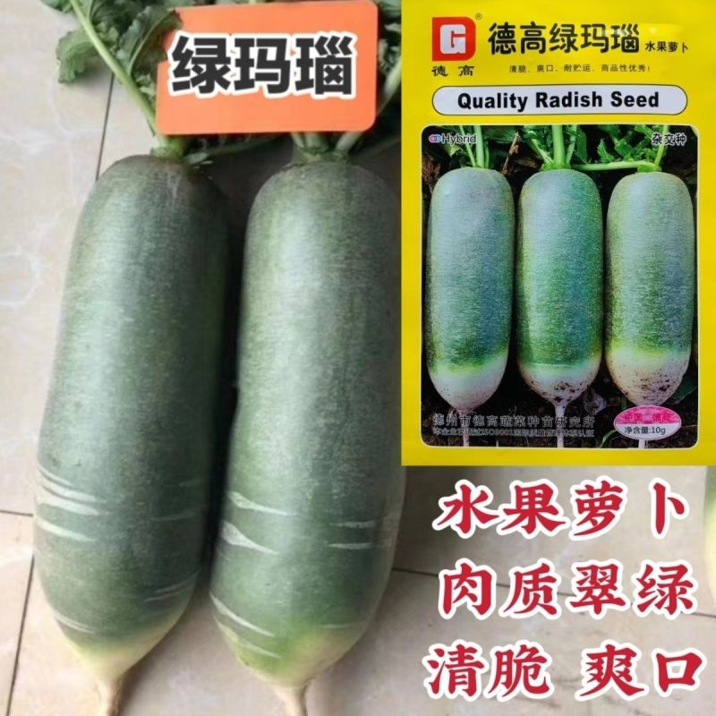 德高博萝蜜萝卜种子长势整齐水果萝卜种籽四季蔬菜基地用
