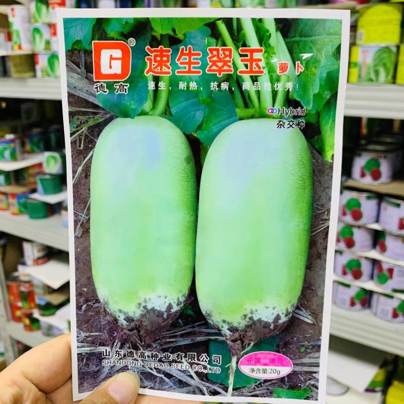 德高博萝蜜萝卜种子长势整齐水果萝卜种籽四季蔬菜基地用
